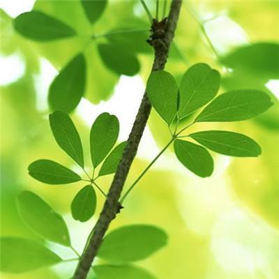 点点勇者测试版下载